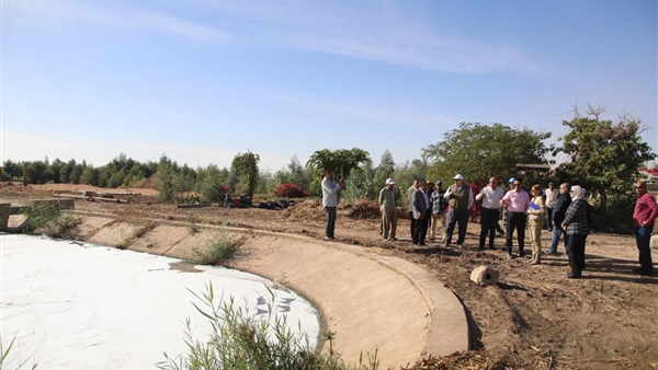 الحياة اليوم