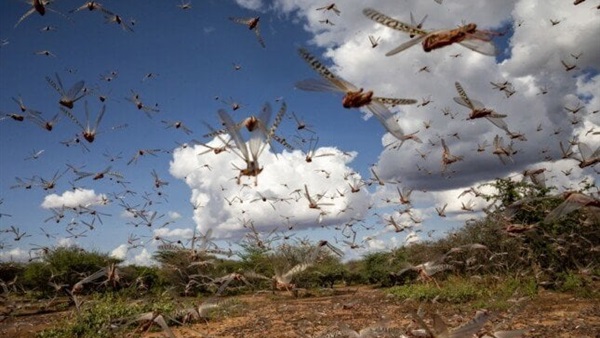 الحياة اليوم