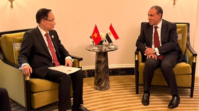 وزير الخارجية يلتقي نظيره الفيتنامي 
