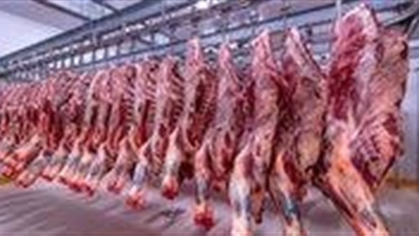 الحياة اليوم