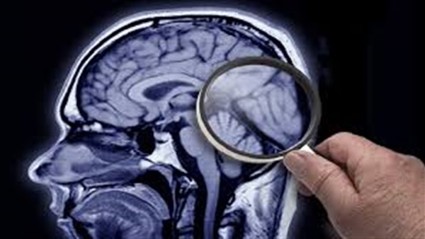 الحياة اليوم