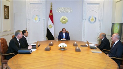 الرئيس السيسي يتابع مع الحكومة السيناريوهات والبدائل المختلفة على مستوى قطاعي الكهرباء والبترول 
