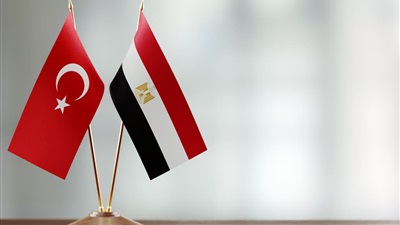 وزيرا الخارجية المصري والتركي يبحثان التطورات الإقليمية ويؤكدان على أهمية خفض التصعيد 