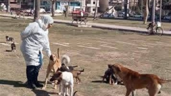 الحياة اليوم