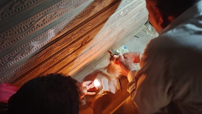 محافظ أسيوط: تشميع وغلق 35 محلًا تجاريًا خالفوا قرارات الغلق 