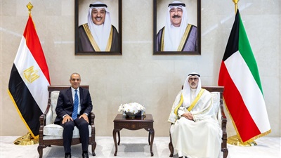 وزير الخارجية يعقد مباحثات مع نظيره الكويتى ويؤكد تضامن مصر الكامل مع دولة الكويت الشقيقة 