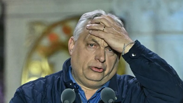 الحياة اليوم