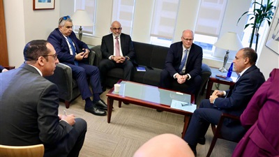 وزير الخارجية يؤكد ثوابت الموقف المصري من القضية الفلسطينية   