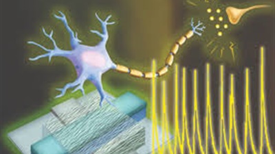 ابتكار علمى هام.. لأول مرة تطوير خلايا عصبية صناعية تتواصل مع الخلايا الحية 