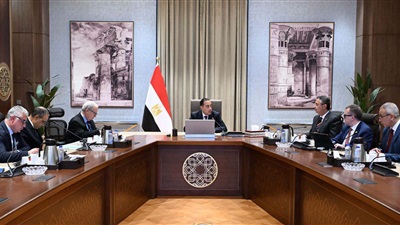 رئيس الوزراء يُتابع مستجدات مشروع إنشاء مركز عالمي لتخزين وتوريد وتجارة الحبوب والزيوت في مصر 