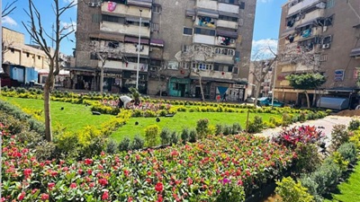 محافظ بورسعيد يوجه بتكثيف أعمال التشجير بعدد من الشوارع الرئيسية 