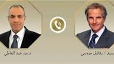 وزير الخارجية ومدير الوكالة الدولية للطاقة الذرية يبحثان مستجدات مفاوضات إيران 