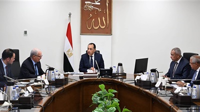 رئيس الوزراء يتابع مستجدات جهود إعادة هيكلة الشركات المملوكة للدولة 