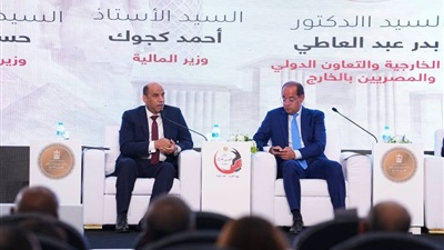 وزير العمل للمصريين بالخارج: خلفكم دولة قوية والرئيس السيسي حريص على حمايتكم 