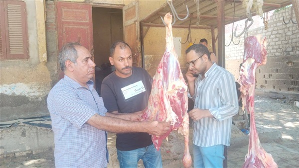 الحياة اليوم