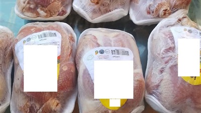 ضبط ٦٠ كجم دجاج وكبد وقوانص غير صالحة للاستهلاك الآدمي بحي الزهور  