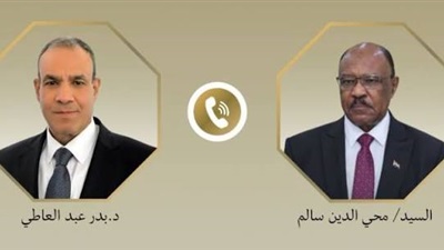 وزير الخارجية يؤكد دعم مصر لوحدة السودان: مستقبله يقرره السودانيون 