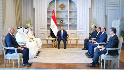 الرئيس السيسى يؤكد رفض مصر لأى محاولات تمس سيادة واستقرار الدول العربية 