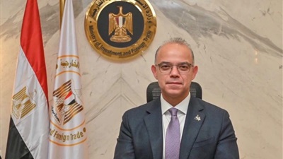 بقدرة 1000 ميجاوات.. «الوزراء» يمنح «نيفير منيا» الرخصة الذهبية لإنشاء محطة كهرباء شمسية 
