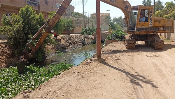 الحياة اليوم