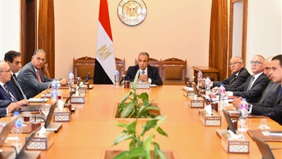 وزير الخارجية يتابع مستجدات إنشاء المنصة الإلكترونية للخدمات القنصلية للمصريين بالخارج 
