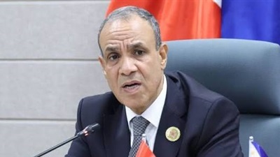 وزير الخارجية:لم نلمس موقفا إيجابيا من إسرائيل بشأن المرحلة الثانية من خطة ترامب 