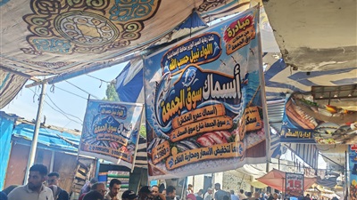 إنطلاق مبادرة محافظ الإسماعيلية لبيع الأسماك بأسعار مخفضة بسوق الجمعة 