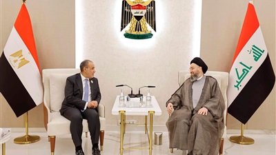 وزير الخارجية يلتقي رئيس تيار الحكمة الوطني العراقي   