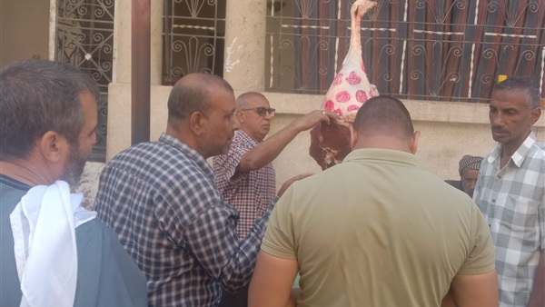 الحياة اليوم