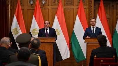 الرئيس السيسي: مصر تتطلع إلى تضافر الجهود الدولية لتخفيف المعاناة عن الأشقاء الفلسطينيين 